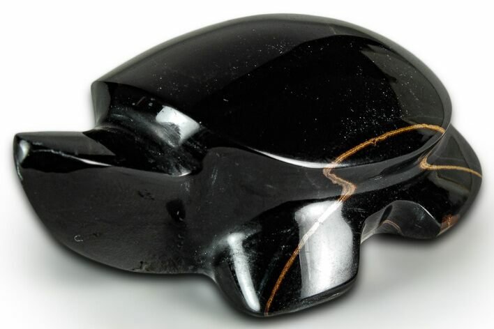 Polished Blue Tiger's Eye Turtle - Mexico #331637